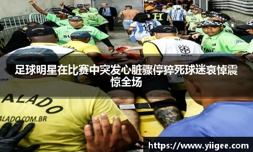 pp电子(中国)责任公司官网