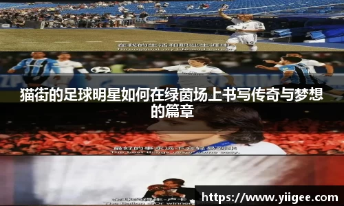 猫街的足球明星如何在绿茵场上书写传奇与梦想的篇章
