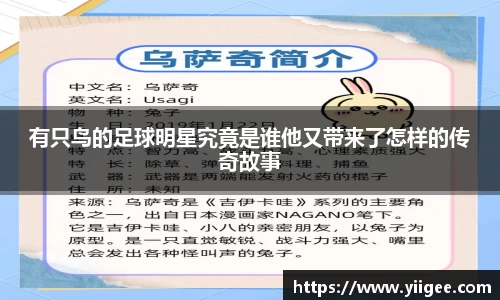 有只鸟的足球明星究竟是谁他又带来了怎样的传奇故事